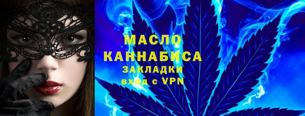 молекула духа Надым