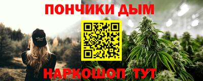 крисы Донской