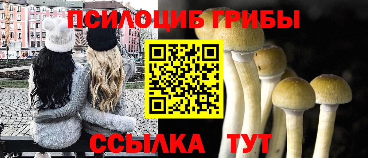 Галлюциногенные грибы Magic Shrooms Добрянка