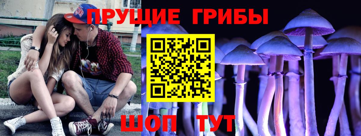 Псилоцибиновые грибы MAGIC MUSHROOMS  Добрянка 