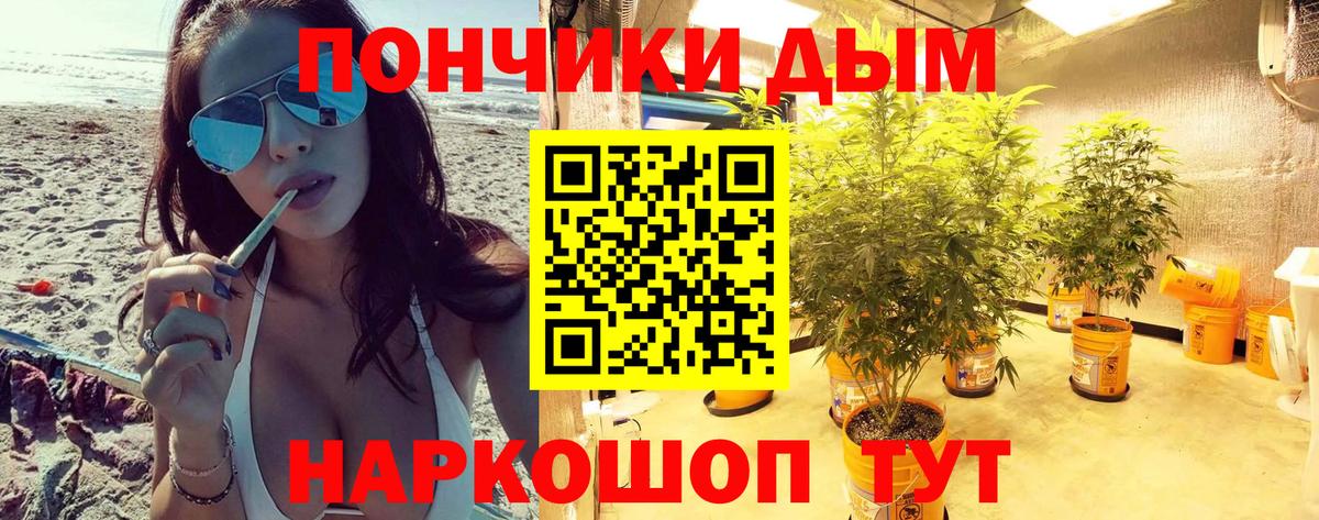 Бошки Шишки планчик Добрянка